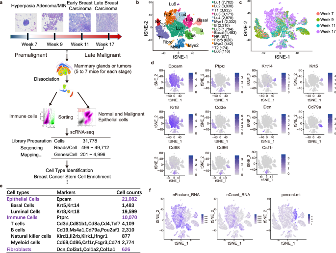 Cellular heterogeneity and immune microenvironment revealed by