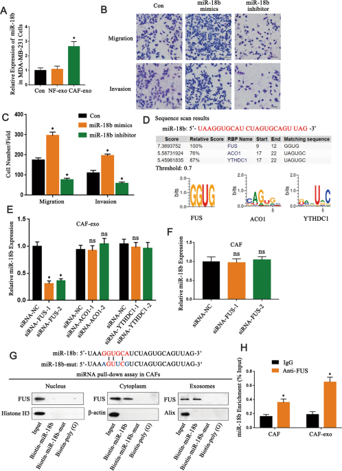 Epigenetic silencing of TCEAL7 (Bex4) in ovarian cancer
