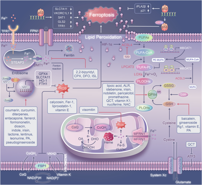 is glutathione good for ckd Chronic Kidney Disease: Stages, Treatments & Nutrition Hacks main image 0