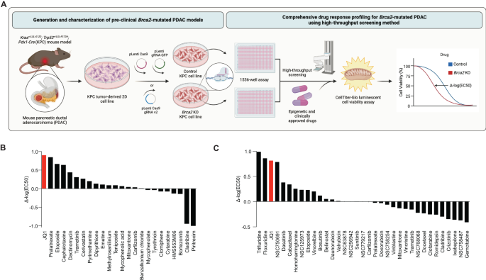 A new vulnerability to bet inhibition due to enhanced autophagy in brca2 deficient pancreatic cancer