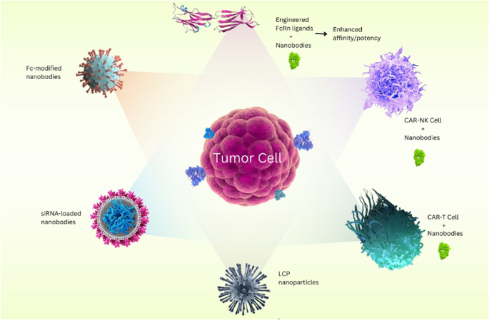Neutralizing nanobody Nanosota-MB1 bound to Marburg GP