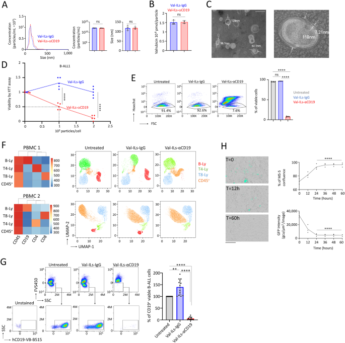 Valrubicin-loaded immunoliposomes for specific vesicle-mediated cell death in the treatment of hematological cancers
