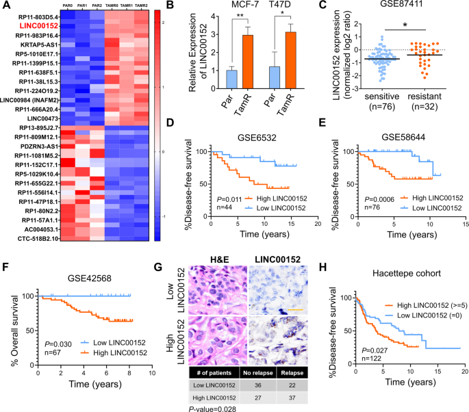 glutathione and tamoxifen Everyone says NAC can make glutathione. Wrong. Evidence against this is  staring right at you. As you can see here, my wife's GCLC gene is  genetically slower. Thus, she cannot convert Cysteine main image 1