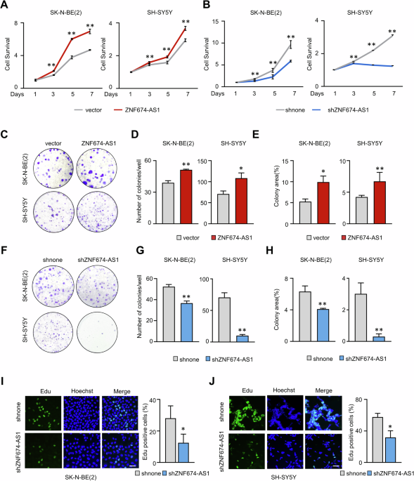 Correction: lncrna znf674-as1 drives cell growth and inhibits cisplatin-induced pyroptosis via up-regulating ca9 in neuroblastoma