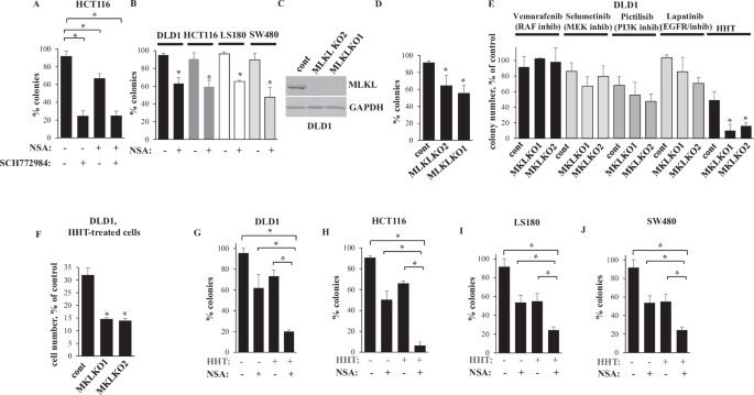 Inactivation of necroptosis-promoting protein mlkl creates a therapeutic vulnerability in colorectal cancer cells