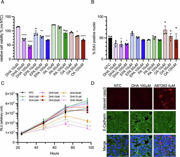 Omega-3 fatty acid DHA induces ferroptosis in colorectal cancer  patient-derived organoids and drug-tolerant cells | Cell Death & Disease