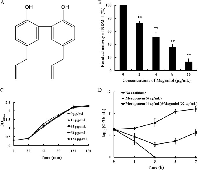Magnolol Restores The Activity Of Meropenem Against Ndm 1 Producing Escherichia Coli By Inhibiting The Activity Of Metallo Beta Lactamase Cell Death Discovery