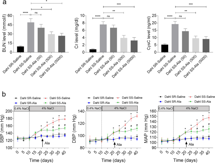 Alamandine Alleviates Hypertension And Renal Damage Via Oxidative Stress Attenuation In Dahl Rats Cell Death Discovery