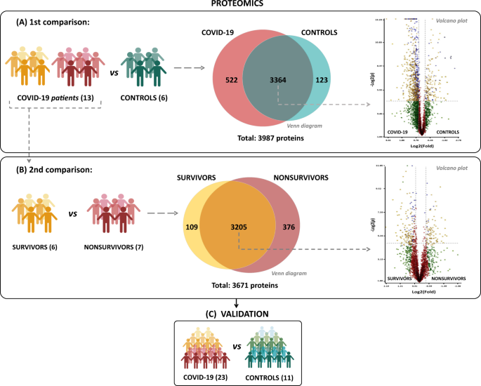 Platelet proteome reveals features of cell death, antiviral response and viral replication in covid-19