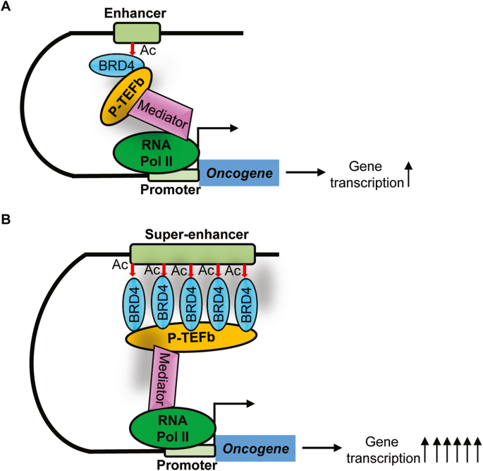 Mr Bet Casino Illustration