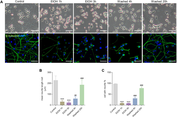 PGC-1a mediated mitochondrial biogenesis promotes recovery and survival of neuronal cells from cellular degeneration