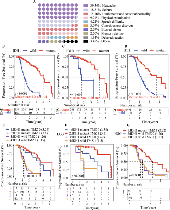 Idh1-mutant metabolite d-2-hydroxyglutarate inhibits proliferation and sensitizes glioma to temozolomide via down-regulating itgb4/pi3k/akt