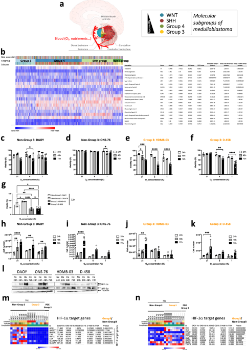 Hif-1 inactivation empowers hif-2 to drive hypoxia adaptation in aggressive forms of medulloblastoma