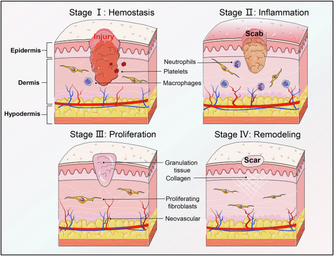 Revive Your Glow: Secrets to Transforming Damaged Skin Portfolios