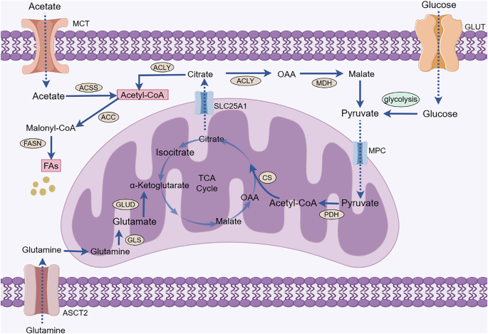 cjc-1295 ipamorelin stack protocol One of the most common combos 👀 CJC-1295 + Ipamorelin Blend is being  explored for how it supports natural hormone signaling, especially in  recovery and sleep-related research. It's widely used in combination