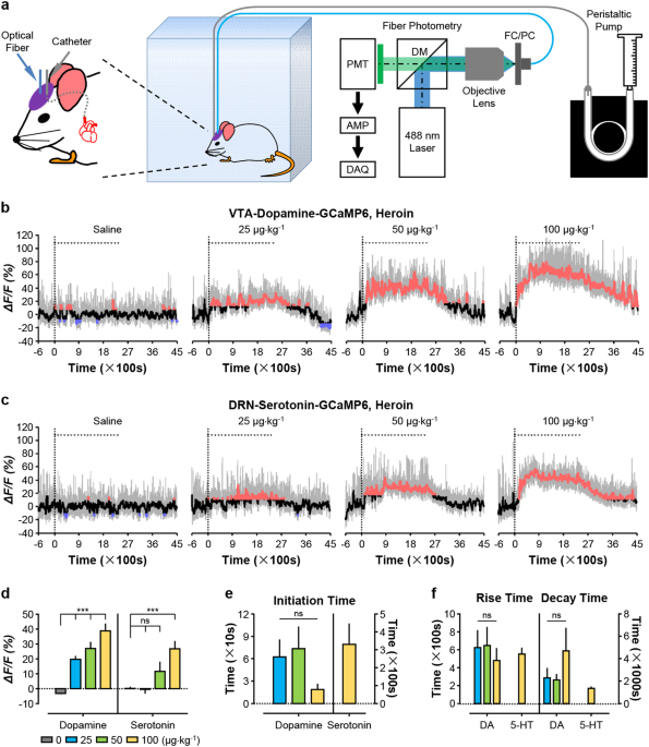 tobacco and serotonin Response dynamics of midbrain dopamine neurons and serotonin neurons to  heroin, nicotine, cocaine, and MDMA