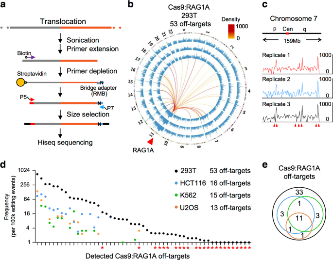 Optimizing genome editing strategy by primer-extension-mediated sequencing  | Cell Discovery