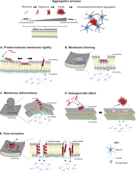 Membranes  May 2021 - Browse Articles