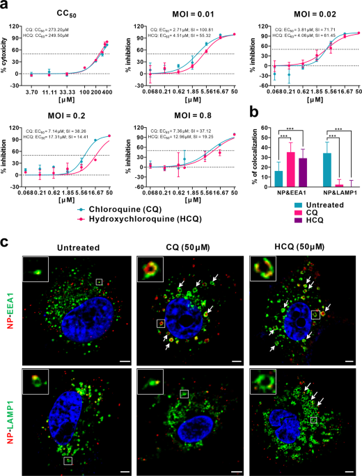 Hydroxychloroquine A Less Toxic Derivative Of Chloroquine Is Effective In Inhibiting Sars Cov 2 Infection In Vitro Cell Discovery