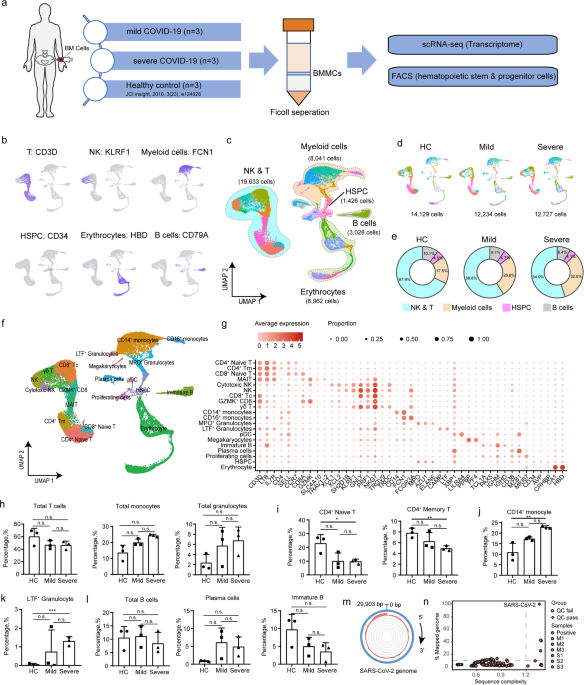Dysregulated hematopoiesis in ...