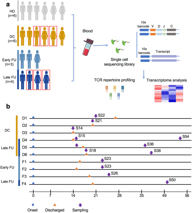 Dynamics of TCR repertoire and...