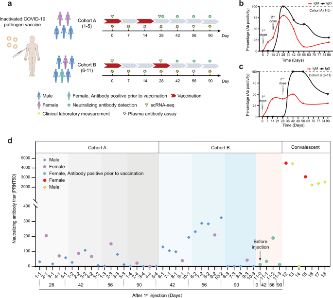 Comprehensive investigations revealed consistent pathophysiological alterations after vaccination with COVID-19 vaccines - Cell Discovery