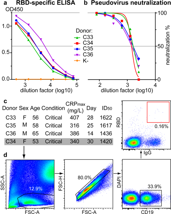 IgG-like bispecific antibodies with potent and synergistic neutralization  against circulating SARS-CoV-2 variants of concern