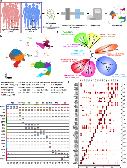 PDF) RNA-Seq analysis of Gtf2ird1 knockout epidermal tissue