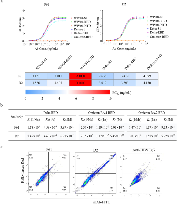 Structural basis of a two-antibody cocktail exhibiting highly potent and  broadly neutralizing activities against SARS-CoV-2 variants including  diverse Omicron sublineages
