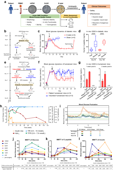 Treating a type 2 diabetic patient with impaired pancreatic islet function by personalized endoderm stem cell-derived islet tissue