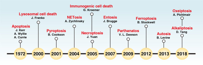 The molecular machinery of regulated cell death | Cell Research