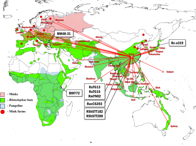 Tracing the origins of SARS-Co...