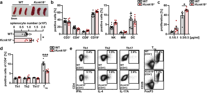 K2p18 1 Translates T Cell Receptor Signals Into Thymic Regulatory T Cell Development Cell Research K2p18 1 Translates T Cell Receptor Signals Into Thymic Regulatory T Cell Development Cell Research