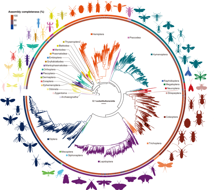 Structural genomics sheds light on protein functions and remote homologs across the insect tree of life - Cell Research