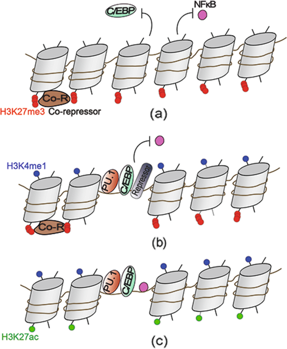 feature-image