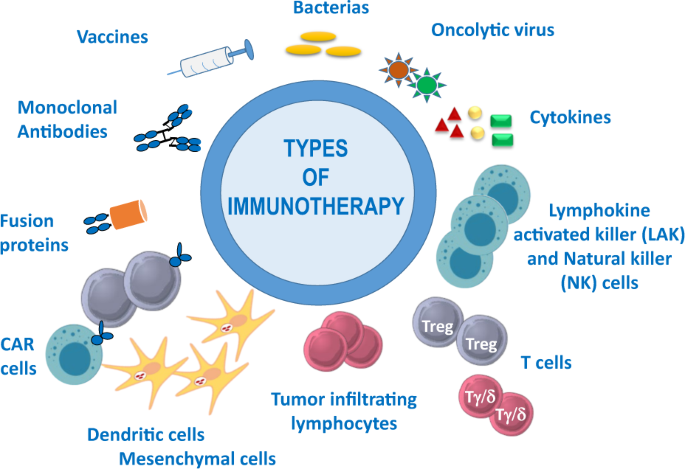 Human Immunology And Immunotherapy Main Achievements And Challenges Cellular Molecular Immunology