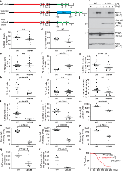 Sting Regulates r Signaling In Normal And Malignant B Cells Cellular Molecular Immunology