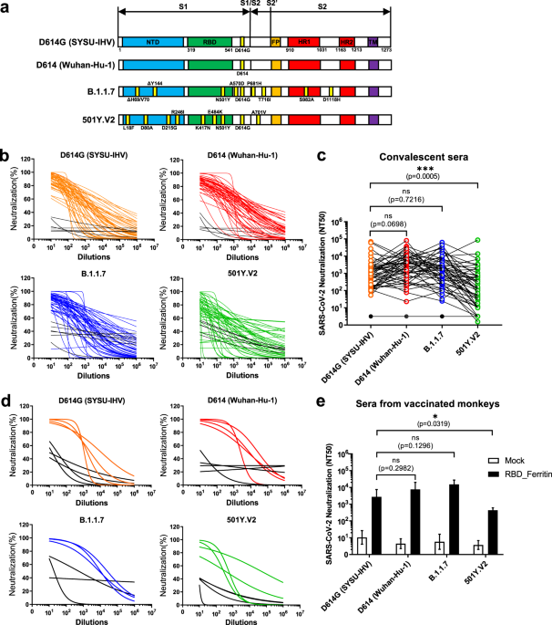 Differential efficiencies to neutralize the novel mutants b. 1. 1. 7 and 501y. V2 by collected sera from convalescent covid-19 patients and rbd nanoparticle-vaccinated rhesus macaques