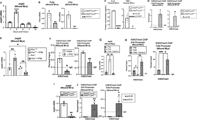 Macrophage-specific inhibition of the histone demethylase jmjd3 decreases sting and pathologic inflammation in diabetic wound repair
