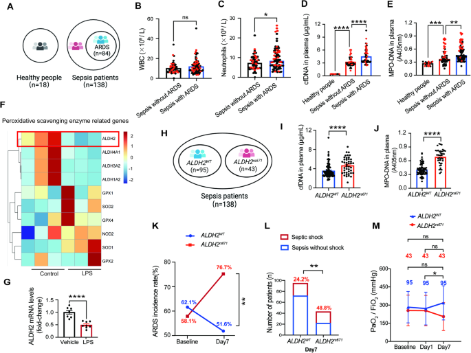Neutrophil aldh2 is a new therapeutic target for the effective treatment of sepsis-induced ards