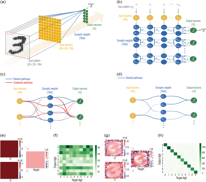 A Self-rectifying TaO Y /nanoporous TaO X Memristor Synaptic Array For ...