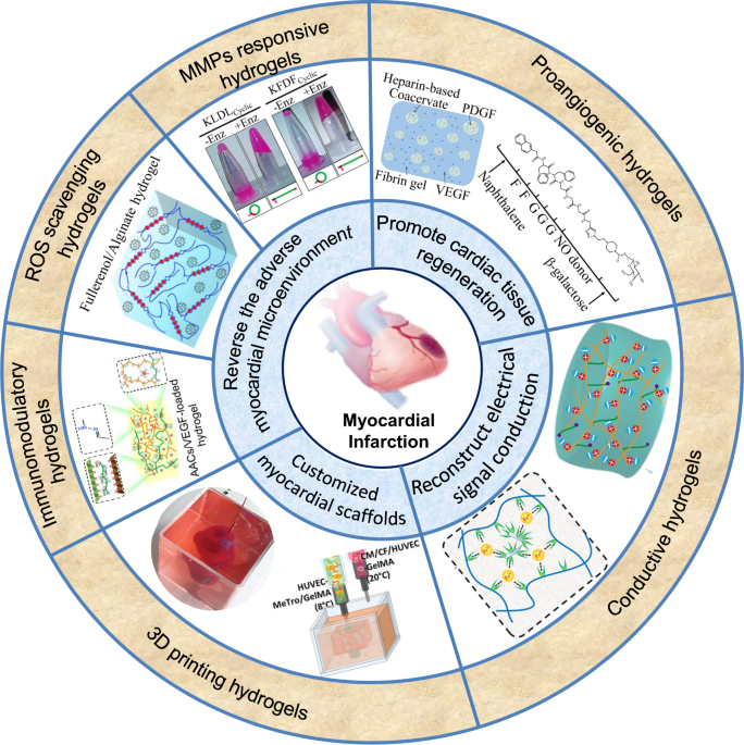 Ionically and Enzymatically Dual Cross-Linked Oxidized Alginate