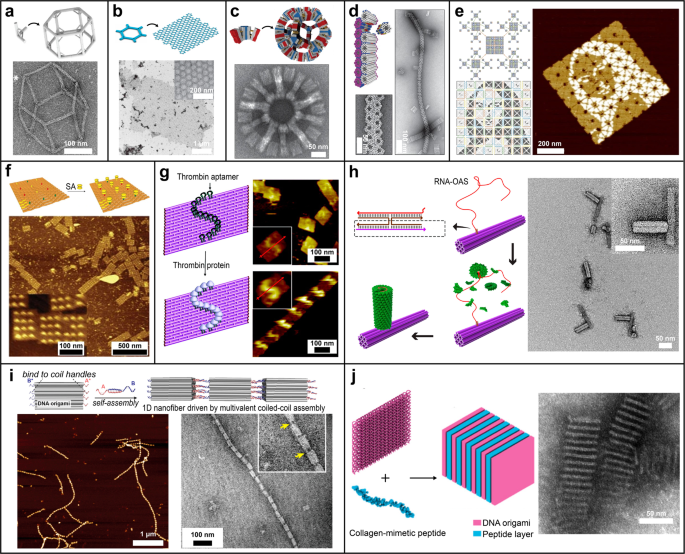 Using origami DNA to trap large viruses