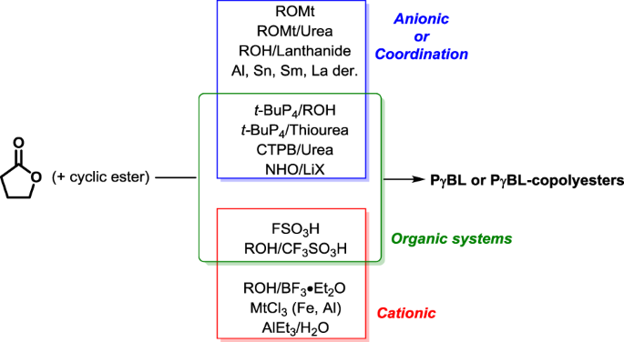 Ring-opening (co)polymerization of γ-butyrolactone: a review