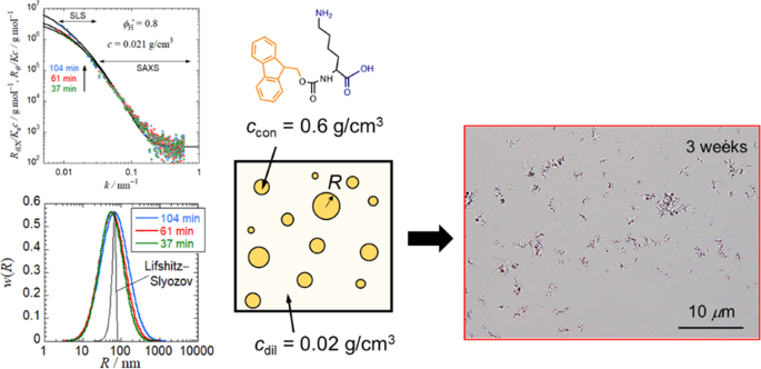 Liquid Liquid Phase Separation And Self Assembly Of A Lysine Derivative Fmoc L Lysine In Water Dmso Mixtures Polymer Journal
