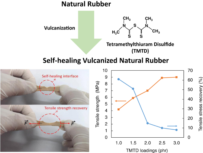 A novel approach to prepare self-healing vulcanized natural rubber using tetramethylthiuram disulfide | Polymer Journal