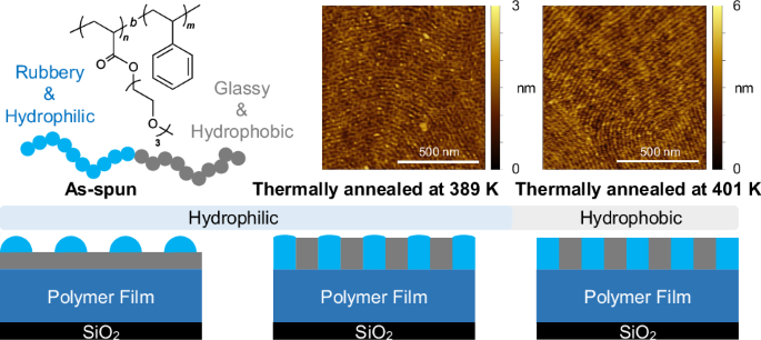 Surface orientation of amphiphilic block copolymers via thermal annealing
