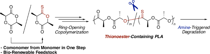 Enhancing the degradability of poly(lactic acid) through the introduction of main-chain thionoester linkages by ring-opening copolymerization - Polymer Journal