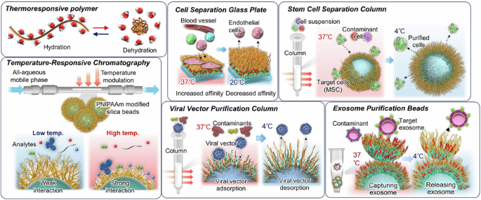 Innovative bioseparation technologies employing thermoresponsive polymer interfaces - Polymer Journal