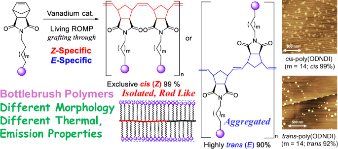 Ring-Opening Metathesis Polymerization (ROMP) of cyclic olefins: stereospecific ROMP and precision synthesis of bottlebrush polymers